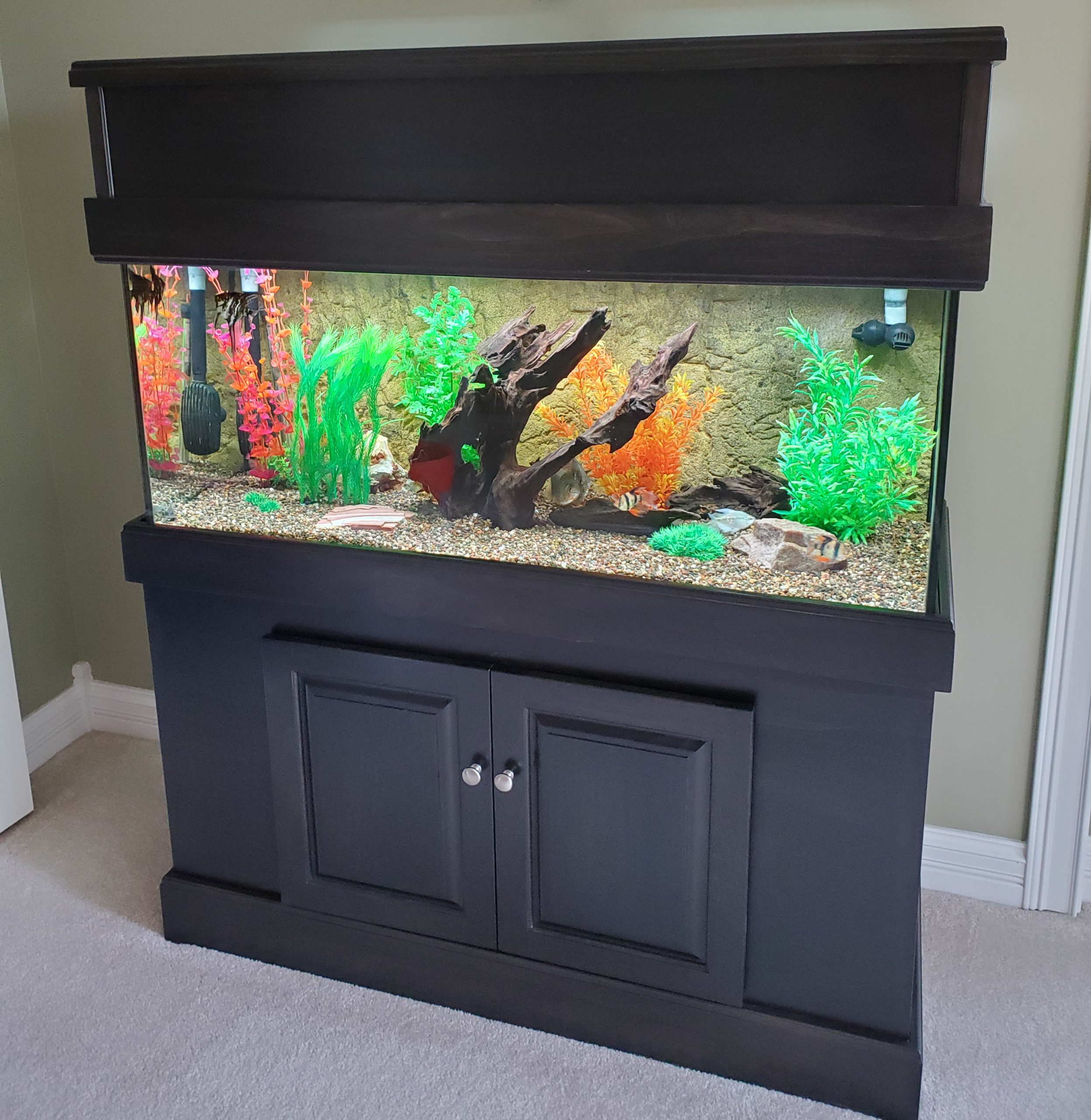 75gallon